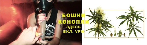 спайс Гусиноозёрск