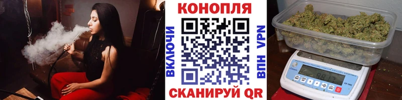 Конопля сатива где найти Меленки